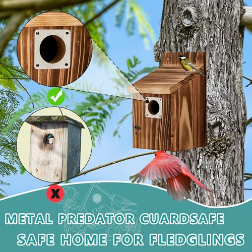 2 Pack Bird Houses for Outside, Outdoors Birdhouse Feeder for Bluebird,Cardinal,Purple Martin and Sparrow,Wooden Cedar Hanging Birds Nest,Easy to Clean,No Assembly Needed - style: Box