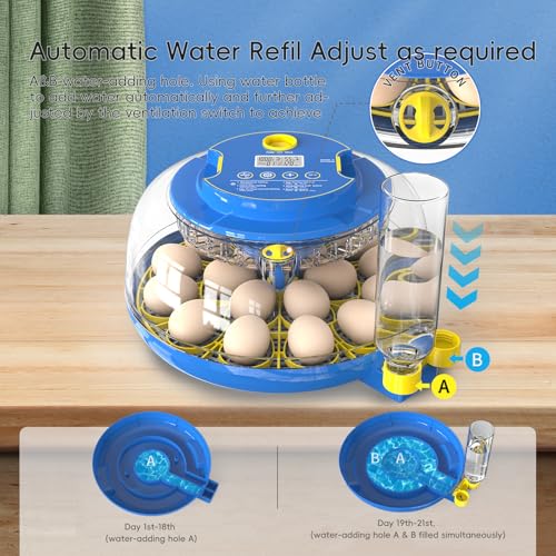 Incubators for Hatching Eggs Automatic Egg Incubator with Temperature Control Humidity Display 12 18 48 Egg Capacity for Chicken Duck Goose Eggs Digital Display Auto Turner 360° View (Blue, 18 Egg)
