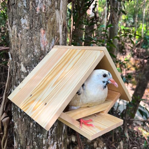 Dove Bird House, Mourning Dove Nesting Box for Pigeons, Open Nest Platform | For Mourning Doves, Pigeons, Open Design, For Backyard Garden, Small Medium Birds Not Large Ones
