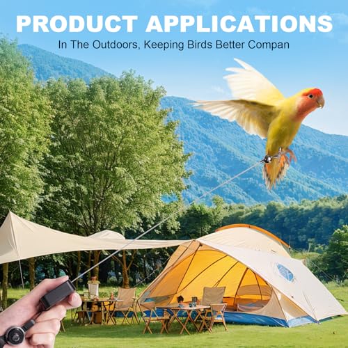 Bird Leash, with 5 Different Size Foot Ring and Feeder Box, Retractable Anti-Bite Parrot Harness, Bird Flight Training Rope for Budgies,Cockatiels,Psittacula Longicauda,Mini Macaws (6.5Ft) - size: 6.5FT