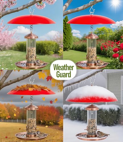 13" Hummingbird Feeder Dome Guard,Bird's Feeder Rain Cover,Squirrel Proof for Bird Feeders Pole, Smart Bird Feeders Umbrella(Bright Red), 2Pack - color: Bright Red, size: 13Inch / 2 Packs