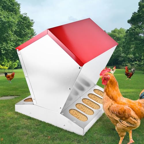 shengyi 11.5-55lbs Galvanized Chicken Feeder - Rat Proof Poultry Feeder with Lid Weatherproof Outdoor Coop Food Dispenser (25lbs 11.75x11.75x15.75in) - size: 25lbs 11.75x11.75x15.75in