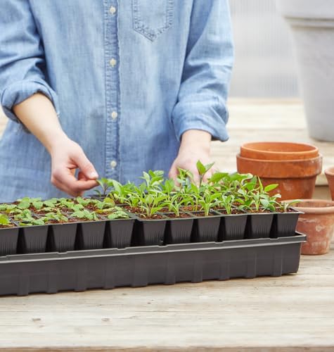 Burpee 72-Cell Self-Watering Seed Starter Kit for Indoor Seed Starting | Complete grow kit with coco coir pellets, humidity dome and self-watering system for starting vegetables, herbs and flowers - color: 72 Cell Self Watering Kit