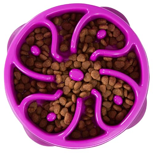 Outward Hound Fun Feeder Slo Bowl – Medium 2‑Cup Capacity, Slow Feeding, Small to Medium Dogs & Cats, Non-Slip, Purple, Flower Pattern - color: Purple, size: Medium