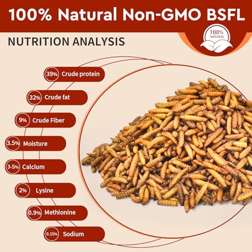 BUNTIE WORMS 5LB Dried Black Soldier Fly Larvae for Chickens Food | More Calcium Than Mealworms, High Protein Chicken Treats, 100% Natural Non-GMO Chicken Feed for Wild Birds, Ducks, Reptiles - size: 5 Pound (Pack of 1)