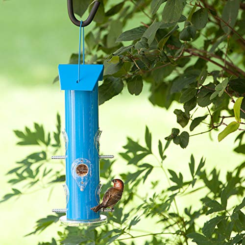 Perky-Pet Blue Metal Tube Wild Bird Feeder - 1 lb Capacity for Wild Bird Seed - Durable Construction - 391