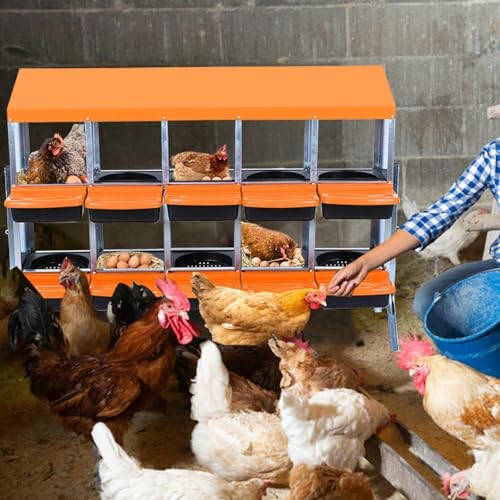 10-Hole Chicken Nesting Box with Removable Lid, Metal Chicken Coops with Roll Away Design/Easy Egg Collection/Ventilation Holes, for Chickens Coops, Duck and Hens - color: Orange, size: 10 holes with legs