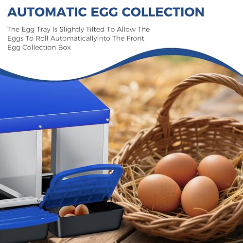 Chicken Nesting Box 3-Compartment Roll-Out with Pull-Out Trays, Egg Nesting Boxes for Hens, Chicken Coop Laying Box,Easy Wall Mounting with Metal Legs - color: Blue, size: 3 holes