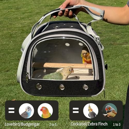 Bird Carrier,Bird Cage Parakeet Parrot Budgie Carrier Backpack for Small Birds, Travel Bird Cages with Perch, Transparent Ventilation Cockatiels, Lightweight Pet Carrier for Outdoor Use(Black) - color: Black