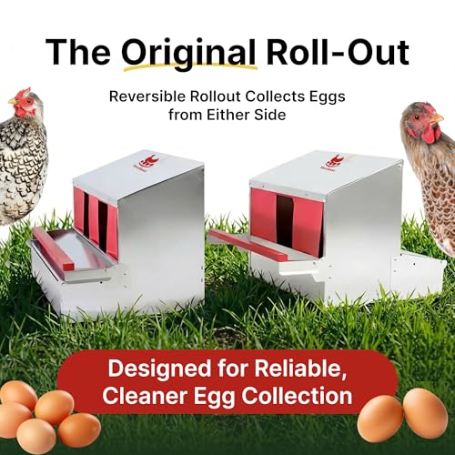 HenGear Nesting Boxes for Chickens, Roll Away Laying Boxes, Nest Box, Small | Nest Box with Rollout Egg Collection, Nesting Pads for Cleaner Eggs, Reversible Accessories, G90 Galvanized, Up to 20 Hens