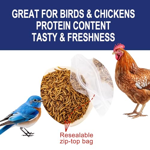 RANZ 20LBS Non-GMO Dried Mealworms for Chickens, High Protein Meal Worms, Premium Chicken Feed, Whole Large Mealworms for Blue Birds, Ducks, Fish - size: 20 Pound (Pack of 1)