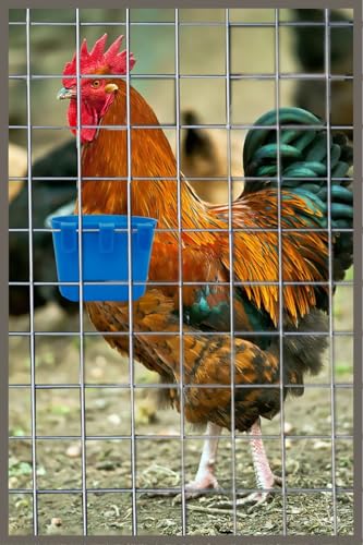 10 Pack Cage Cups Birds Feeders Seed Bowl Chicken Feeding Watering Dish Rabbit Water Food Hanging Wire Cages Box 8oz Coop Cups for Pet Parrot Parakeet Gamefowl Poultry Pigeon - size: 10PCS BLUE