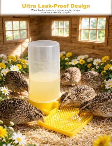 Ultra Leak-Proof Quail Chick Water Feeder – Premium Large Capacity, Non-Toxic & Durable, Ideal Button Quails Waterer, No-Spill Quail Coop & Poultry Supplies for Easy Hydration