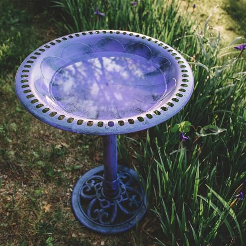 Backyard Expressions Outdoor Garden Bird Bath - Lilac Purple - Weather Resistant Polyresin - 27 Inch - color: Lilac Purple