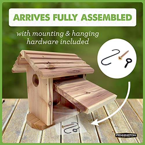 Pennington Pride Cedar Birdhouse for Outdoor, 1 Adult, 3-4 Babies | Birdhouses for outdoors, side opens for cleaning, ventilation and drainage openings, hanging hardware included - size: Holds 1 Adult, 3 - 4 babies