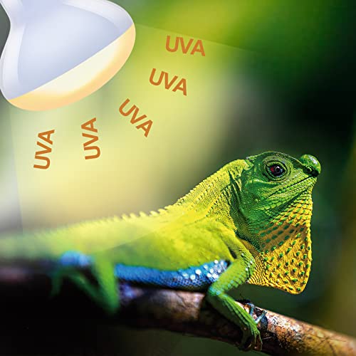 REPTI ZOO 100W Reptile Heat Lamp Bulbs Combo, Upgraded 2 Pack Day & Night Basking Spot Light, UVA Daylight Heating Lamp & Infrared Heat Lamp for Reptiles & Amphibians - style: Style 2