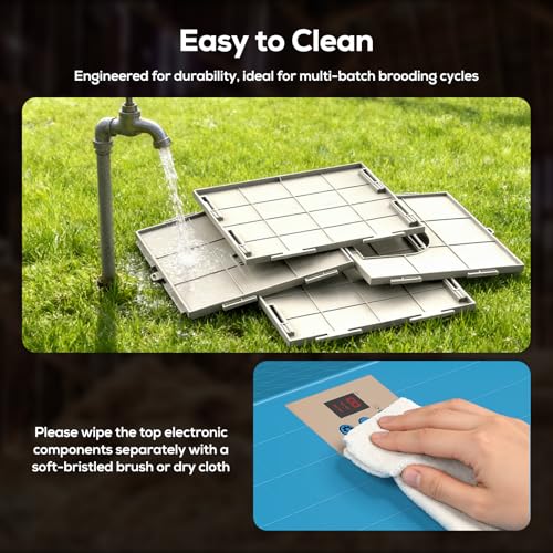 Chick Brooder Plate for Chicks Temperature Control & Display, Chicken Brooder Box for Chicks with Thermostat Fan & Light, 6.5Ft 110V Power Cord Brooder Heater 50W Chick Heat Plate 11.4"Lx11.2"W