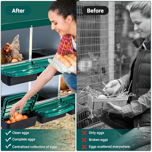 Chicken Nesting Box,6 Compartment Roll Away Nesting Box for Laying Eggs,Wall Mount Chicken Nesting Boxes,Easy Egg Collection,Cleanable Pull Out Hen Roosting Boxes 6 Hole,Green - color: green, size: 6 holes
