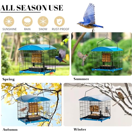 Caged Suet Bird Feeders Squirrel-Proof, Dual-Purpose Suet &Seed Wild Bird Feeders with Tray, Starling-Proof Metal Caged Bird Feeders Outdoors Hanging, 2 Suet Cakes+1lb Seed Capacity, Blue