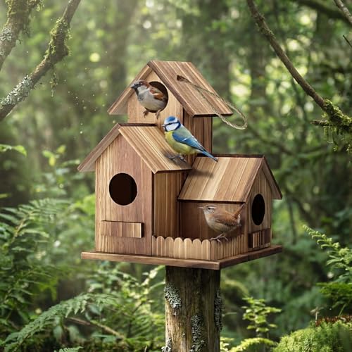 AceOrbit 2 Pcs Bird Houses for Outside 3-Hole Wooden Birdhouse 7.48 x 5.91 x 5.91 Outdoor Hanging Bird House for Finch Bluebird Chickadee Wren Hummingbird Weatherproof Garden Courtyard Decor