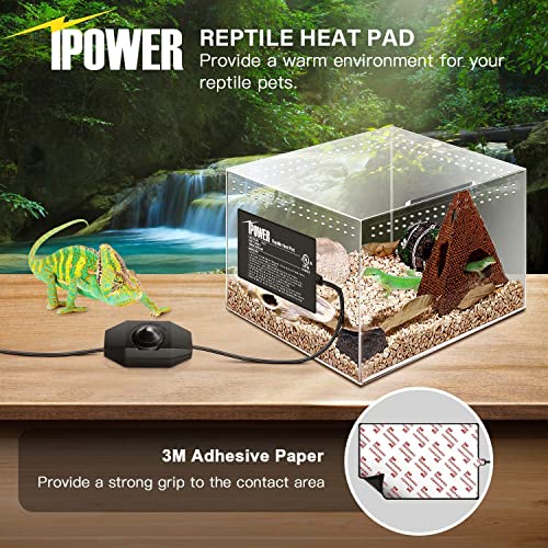 iPower 4 by 7-Inch Reptile Heat Mat with Temperature Adjustable Controller Knob, LCD Digital Aquarium Thermometer, Under Tank Warmer Terrarium Heat Pad for Reptiles and Amphibians - size: 4 X 7 Inch, style: Pad with Adjust Knob+ Thermometer