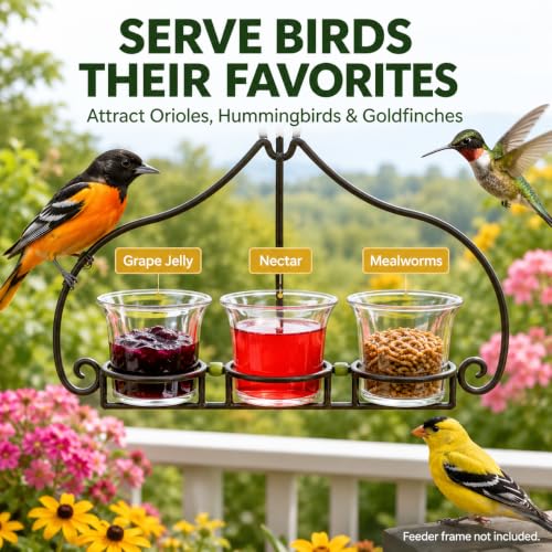 DECHOUS 3Pcs Replacement Glass Cups for Oriole Feeder Hummingbird Wild Bird | Outdoors Garden Balcony Patio Birds Feeding Accessories, Glass Jelly Feeder Cups for Oriole and Hummingbirds