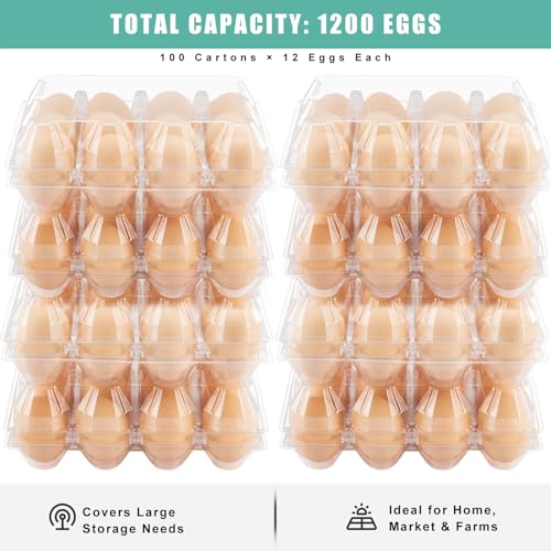 SINLUCESCE 100 Packs Egg Cartons Cheap Bulk, Plastic for 12 Eggs, Clear Egg Cartons 3 x 4 Grids, Perfect for Refrigerator Family Farm Commercial Business Market Display