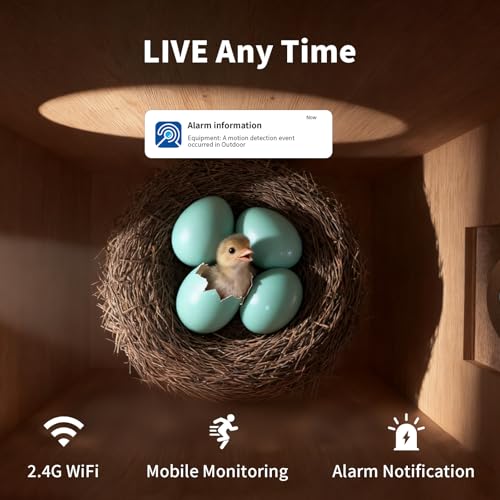 Birdhouses for Outside with Camera Solar Powered Perfect Birdwatching Gift | Smart Bird Feeder for Outdoors, 2K HD Live Video, Nesting Box with Motion Detection, Weatherproof, Bird Lover Gifts