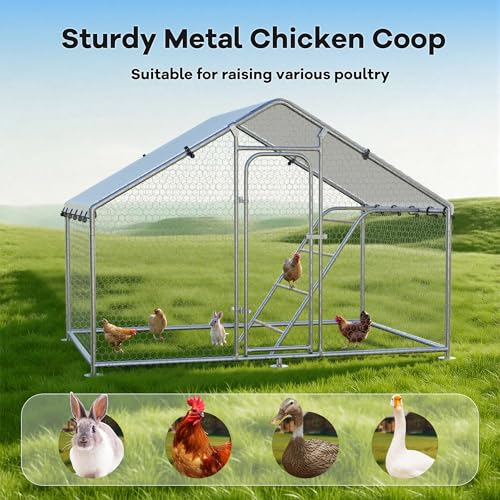 Large Metal Chicken Coop Run with Roosting Perch | Spire roof walk-in chicken cage with waterproof UV-resistant cover, 10' W x 4.9' L x 6.4' H enclosure - size: 59.9"L x 118.0"W x 78.0"H