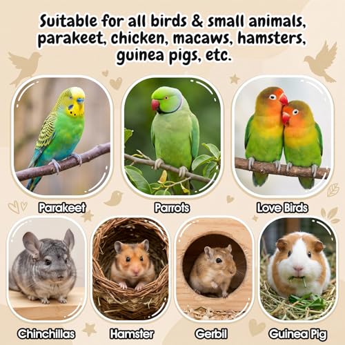 Gjinxi Parrot Feeder Chew Toy Ball Bird Foraging Interactive Balls Sharpening Teething Claws Beaks Toy for Small Medium Animals Parakeets Macaws Lovebirds Budgie Hamsters Guinea Pigs Cockatiel Parrot