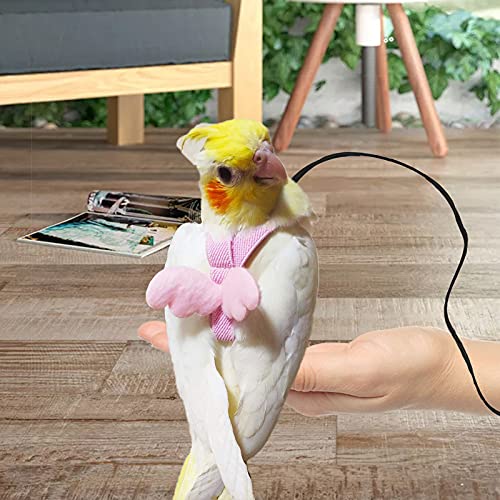 Dnoifne Parrot Harness and Leash, Adjustable Training Design Anti-Bite, Nylon Rope with Cute Wing for Parrots, Suitable for Alexandrine, Scarlet, Keck, Mini Macaw & Same Size Bird (pink) - color: pink