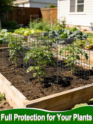 16''H x 11''Dia Plant Protectors from Animals - Full-Protection Anti-Rust Plant Cages with Covers for Outdoor Plants, Wire Garden Cloches for Plants Strawberry Keeping Chicken Rabbits Out, 4 Sets