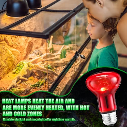 10 Pcs 75w Reptile Heat Lamp Bulb Day and Night Basking Spot Bulb Set UVA Daylight Bulb Amphibian Night Red Infrared Heating Lamp for Turtle Bearded Dragon Lizard Leopard Gecko