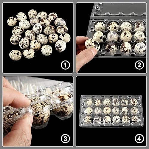 100 Pcs Quail Egg Cartons, 18 Grids Plastic Egg Storage Boxes, Stackable, Reusable for Pheasant & Pigeon Eggs