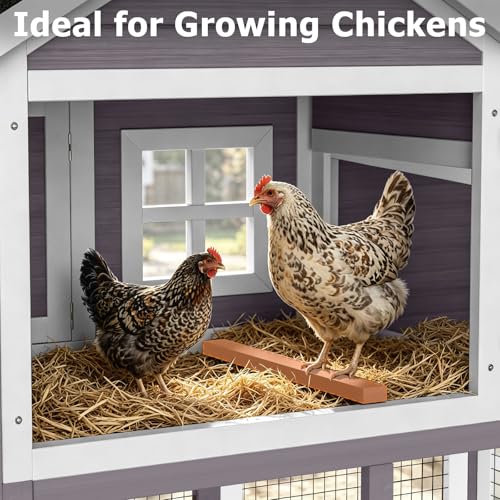 Chicken Coop with Run, Mobile Chicken Coop with Wheels for 4-6 Chickens, Large Outdoor Hen House with Nesting Box, Weatherproof Asphalt Roof, Pull-Out Tray for Small Animals in the Backyard - color: Grey