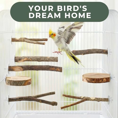 12 Pcs Natural Bird Perches and Shreddable Parakeet Toys, Essential Parrot Cage Accessories with 8 Wood Standsand 4 Shreddable Parakeet Toys, Foraging Shredder and Bird Accessories for Cages - size: 12 Pack