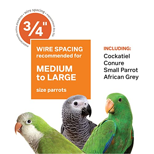 Prevue Hendryx Pet Products Wrought Iron Select Bird Cage 3152SAGE Sage Green, 24-Inch by 20-Inch by 60-Inch | Large Steel Cage with Rolling Stand, and Playtop, Durable Design, Ideal for Conures and Medium Birds - color: Sage Green, size: 24.0"L x 20.0"W