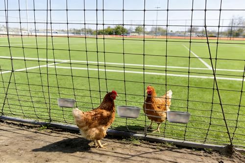 2pcs Rabbit Feeder Waterer Chicken Cage Cup 18oz Stainless Steel Hanging Food Bowl Bird Dishes Water Cups for Pigeon Poultry,Pet,Hamsters,Parakeet,Cats,Puppy,Small Animal