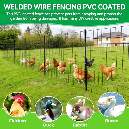 Welded Wire Fence 48inch x 50ft, 2inch x 3inch Black Chicken Wire Fencing, 16Gauge PVC Coated Garden Wire Fence Rolls, Anti-Rust Metal Fencing for Yard Plant Protection Poultry Netting - size: 4ft x 50ft