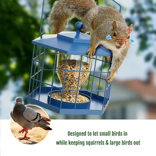 Birdream Squirrel Proof Bird Feeders for Outdoor Hanging, Metal Cage Bird Feeder with Rain Proof Covered for Wildbirds Bluebird Finches, Blue