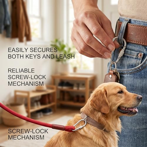 16 Pcs Small Locking Carabiner, 1.5in D-Ring Key Hooks, Stainless Steel Screw Lock Carabiner Clips for Keychain Pet Leash Parrot Bird Hanging Toys (Silver)