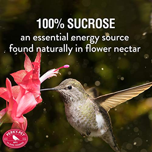 Perky-Pet Hummingbird Nectar Concentrate, 32 oz Liquid Bird Food | Makes 96 fl oz Ready-to-Use Hummingbird Feed for Wild Bird Feeders, 100% Sucrose Formula, 238CL - size: 32 Fl Oz (Pack of 1)