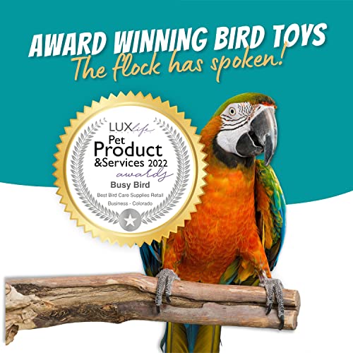 Bird Toys for Large Birds (Spinner) Stainless Steel Bird Toy with Traveling Spinner | Macaw Toys | Durable Puzzle Enrichment Toy for Medium to Large Birds Cockatoos Parrots | Bird Cage Accessories - color: Spinner