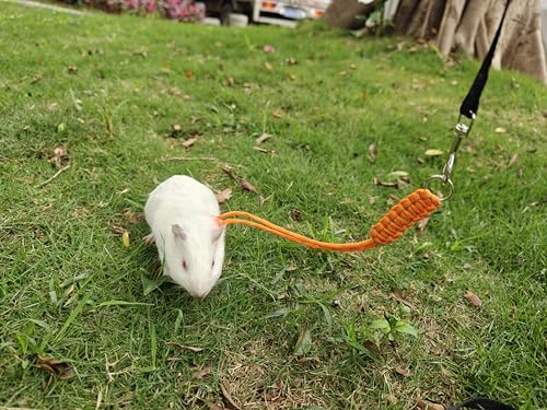 GOMICRAFT Handmade Figure 8 Harness and Leash for Ferrets/Guinea Pigs/Rats | Adjustable, Lightweight & Safe | Fits Small Animals: Bunnies/Bearded Dragons/Chinchillas/Reptiles/Birds/Squirrels/Rabbits