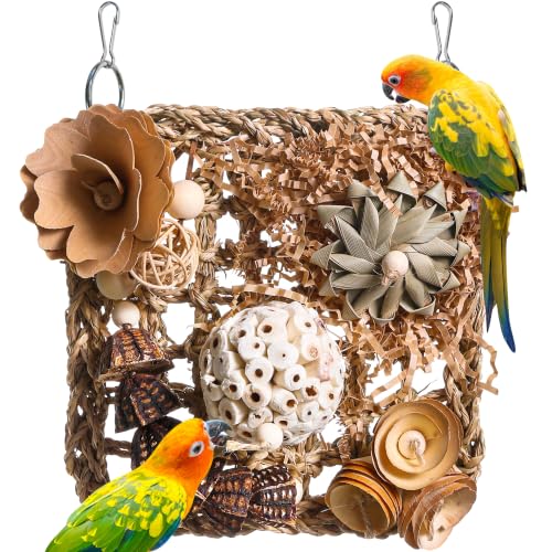 Bird Foraging Toys Natural Bird Toys Conure Toys Parrot Shredding Hanging Toys for Small to Medium Birds Parakeet Cockatiel Conure Lovebird Budgie