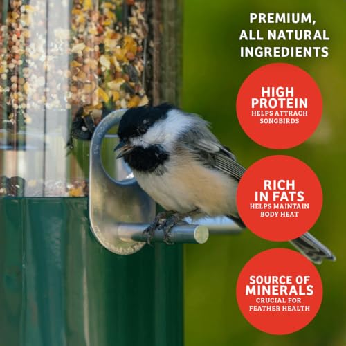 Birds Choice Cardinals Crave Bird Seed Wild Bird Food | Nutrient-Rich Bird Seed Blend | High-Energy with Safflower, Black Oil Sunflower Seeds & Peanuts | High Protein & Fat for Cardinals | 5 lbs | High-Energy Blend of Safflower, Black Oil Sunflower Seeds