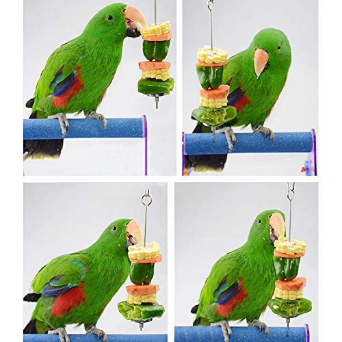 URBEST Bird Food Holder, Bird Feeders, Stainless Steel Parrot Fruit Vegetable Stick Holder, Treat Skewer (Small+Large)