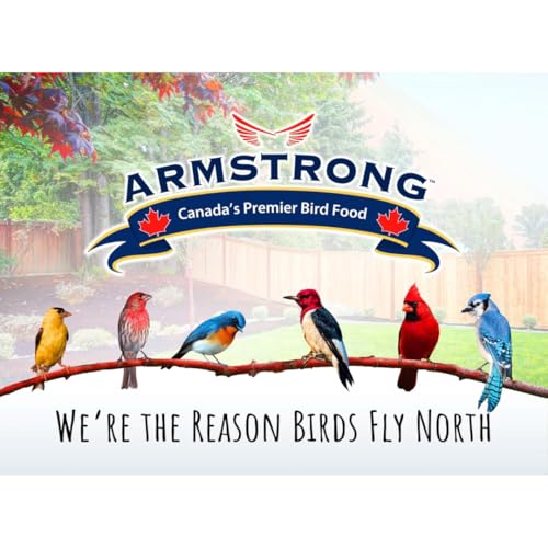 Armstrong Royal Jubilee Granola Stack Feeder + 4 Granola Stacks Assorted Bundle - Durable 12-Inch Hanging Feeder with Premium High-Energy Treats for Wild Birds - style: Granola Stack Bundle