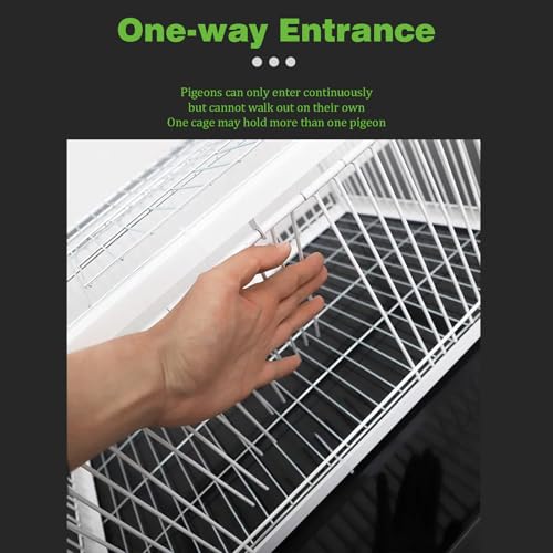 Pigeon Trap Cage with Escape-Proof Design Chicken Trap Bird Cage with One Way Entrance for Sparrows Quails Bird Chick and Duckling (15.75”L x 11.8” W x 10.24” H) - size: 15.75”L x 11.8” W x 10.24” H