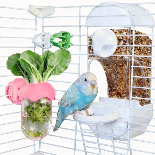 Automatic Bird Cage Feeder No Mess Bird Feeding Station Parrot Vegetable Holder Fruit Clips for Parakeet Cockatoo Canary Lovebirds Budgie (White) - color: White
